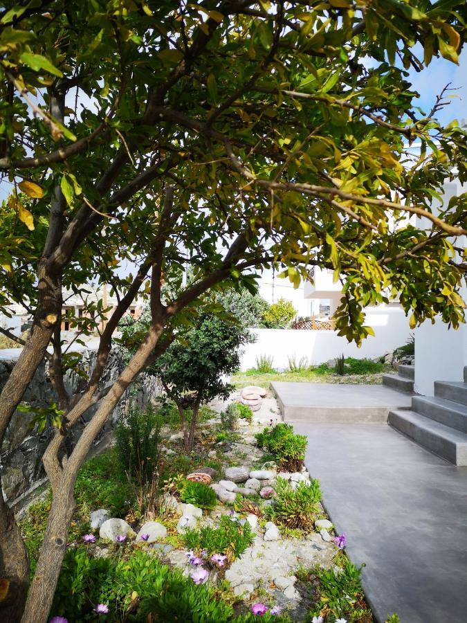 Summer Villa Adamantas  Екстериор снимка